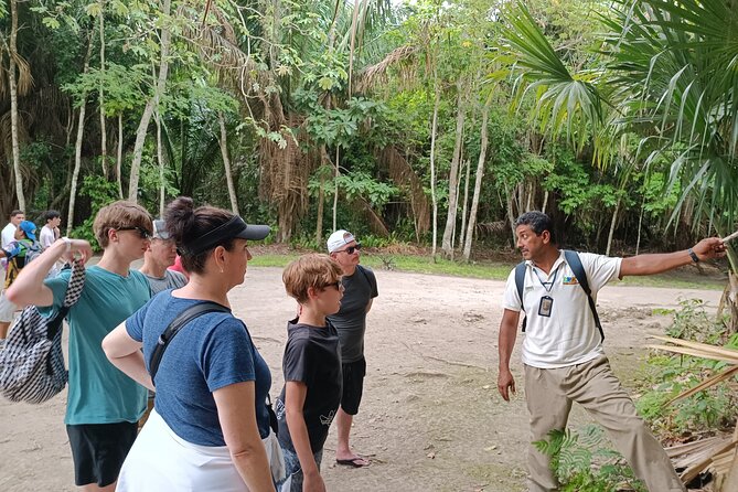 Chacchoben Mayan Ruins Excursion - Mobility, stairs, and realistic comfort
