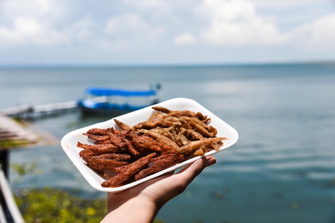 Chapala Ajijic Area Tour from Guadalajara - Why this Lake Chapala day trip works