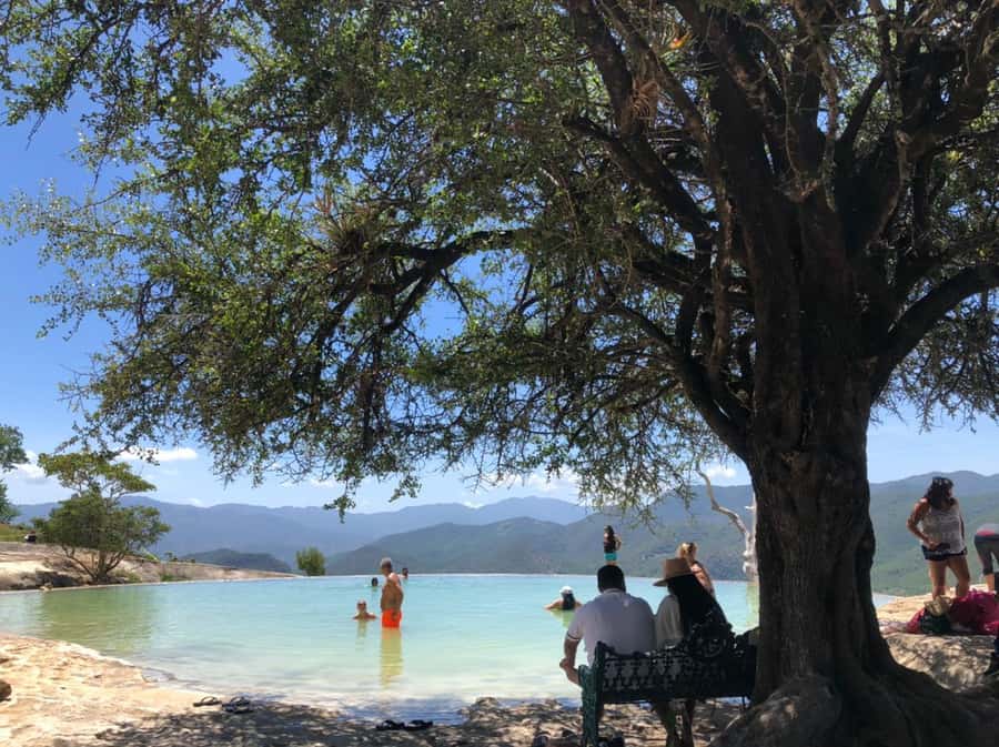 Check out Hierve el Agua, Mitla, the Tule Tree, Rugs, and a Mezcal Distillery Tour - Why this 11-hour route works