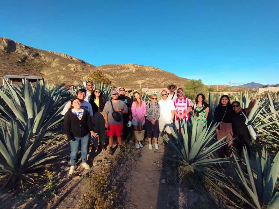 Check out Hierve el Agua, Mitla, the Tule Tree, Rugs, and a Mezcal Distillery Tour - Guides and group size make the difference