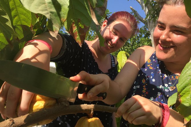Chocolate Tour in Vallarta - Roasting, shelling, and grinding your own cacao