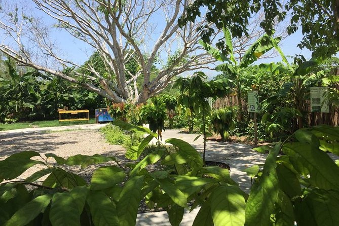 Chocolate Tour in Vallarta - Why a private group matters