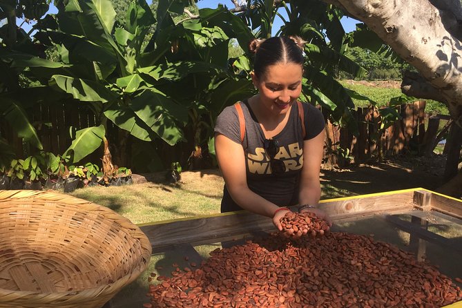 Chocolate Tour in Vallarta - Is $39 good value?