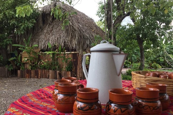 Chocolate Tour in Vallarta - Opening with cacao, corn, and Mesoamerican tradition