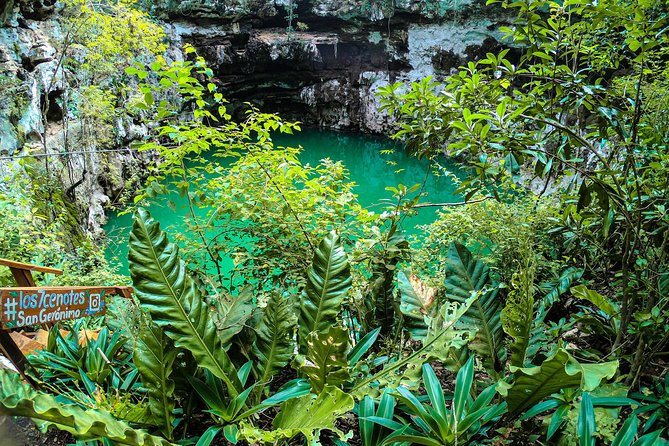 Choose your experience to live in Los 7 Cenotes San Gerónimo - The Semi-Open Cenote: Light and Open Air