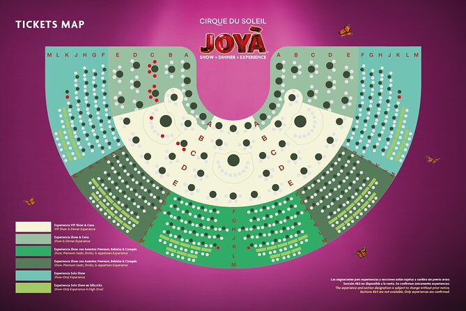 Cirque du Soleil JOYÀ Admission Tickets - Is JOYÀ worth about $80.83?