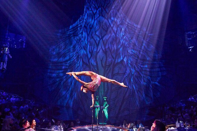 Cirque du Soleil JOYÀ Admission Tickets - The story of a girl, an alchemist, and the jungle