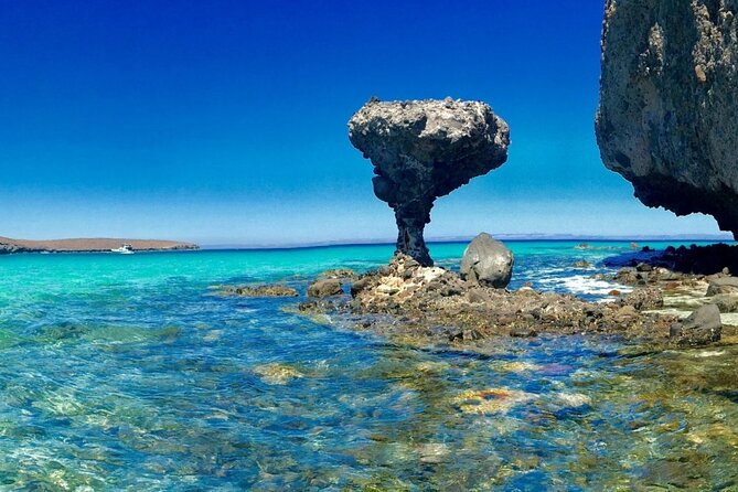 CityTour La Paz, Balandra beach and the Magic Town of Todos Santos - Balandra Beach Before the Crowds