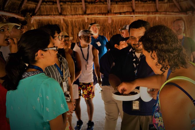 Coba and Tulum, cenote swim and buffet lunch - Cenote Mariposa, the day’s cool reward