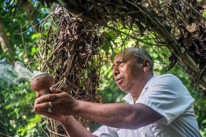Coba Ruins, Punta Laguna Nature Reserve, Cenote and Mayan family - Transportation, timing, and pickup details