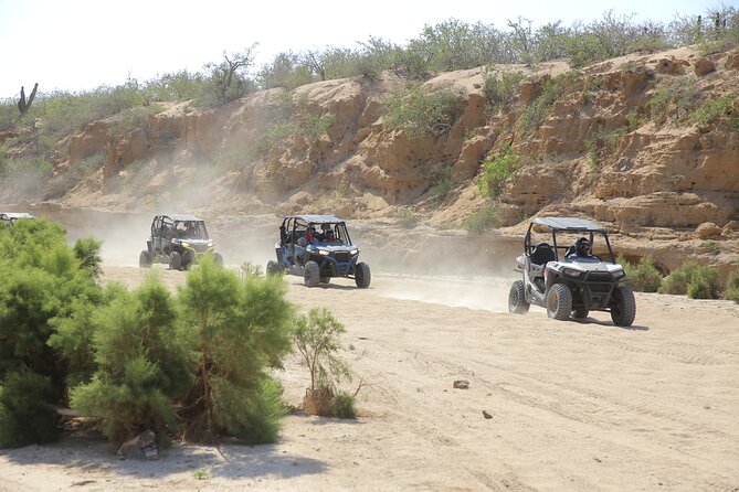 Combo Off Road 4x4 UTV Camel Ride Lunch and Tequila Tasting - Key points to know before you go