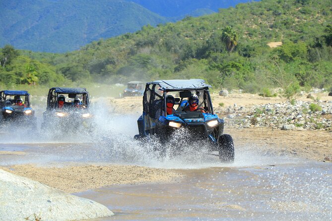 Combo Off Road 4x4 UTV Camel Ride Lunch and Tequila Tasting - From the Pacific coast to Tierra Sagrada