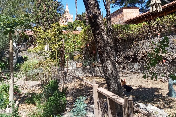 Cook & Dine | Make Authentic Mexican Mole and Salsas in San Miguel de Allende - Finishing with enmoladas and dinner