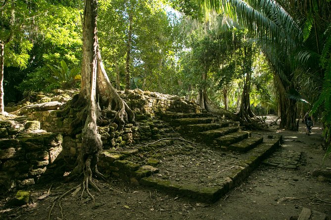 Costa Maya Shore Excursion: Chacchoben Day Trip - Chacchoben in five useful facts
