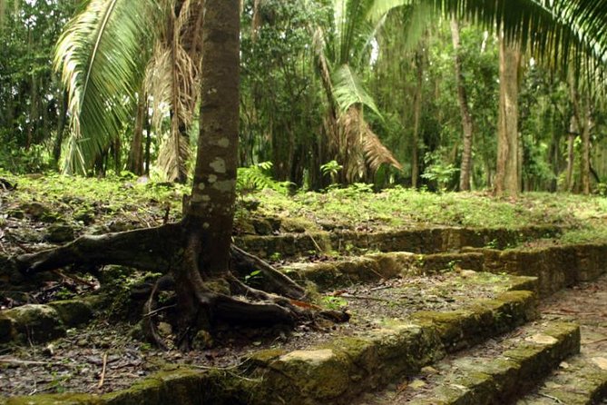 Costa Maya Shore Excursion: Chacchoben Day Trip - The drive to Chacchoben takes patience