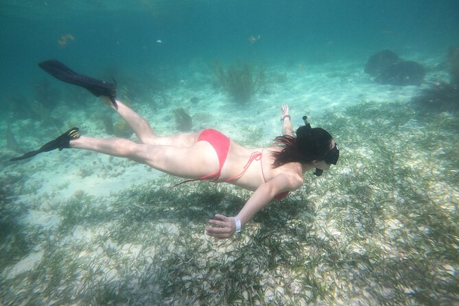 Costa Maya, snorkeling on the reef with fish, looking for turtles - The short boat ride to Mahahual’s reef