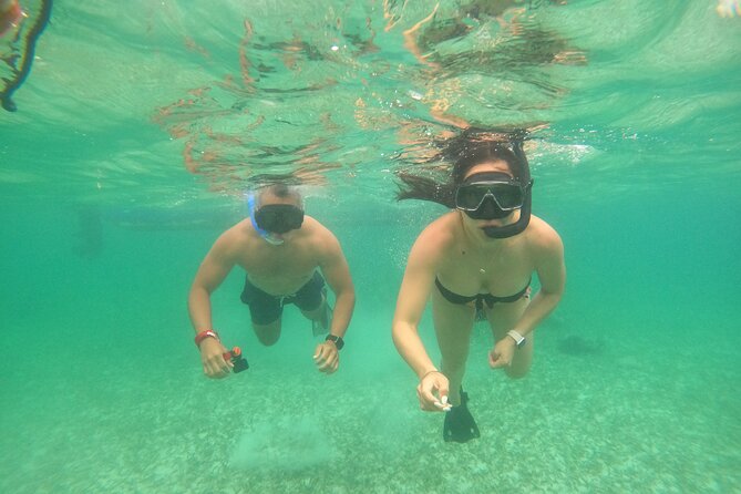 Costa Maya, snorkeling on the reef with fish, looking for turtles - What the guided snorkeling feels like