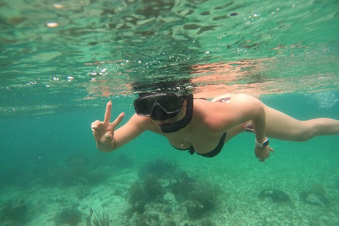 Costa Maya, snorkeling on the reef with fish, looking for turtles - Finding turtles, rays, and reef fish