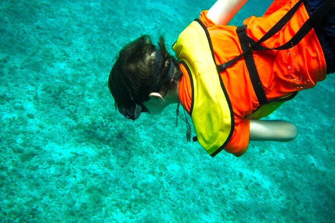 Cozumel Buggy Tour: Snorkeling , Otoch Mayan Experience & Lunch - Otoch Mayan Experience and the tasting circuit