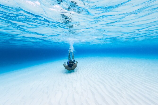 Cozumel Catamaran Snorkeling Tour & lunch® - Setting out from Royal Village at 11 a.m.