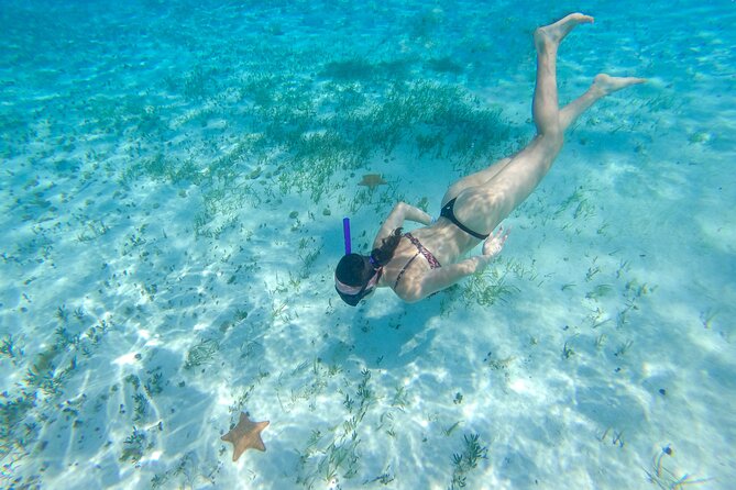 Cozumel Catamaran Snorkeling Tour & lunch® - What the $11 or $13 marine fee means