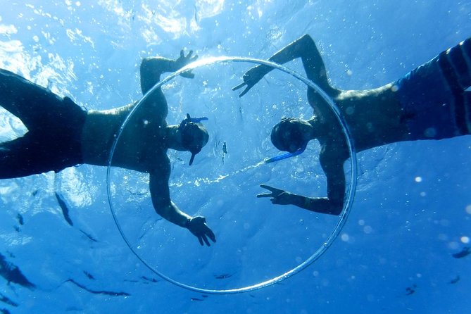 Cozumel Catamaran Snorkeling Tour & lunch - What the catamaran day feels like