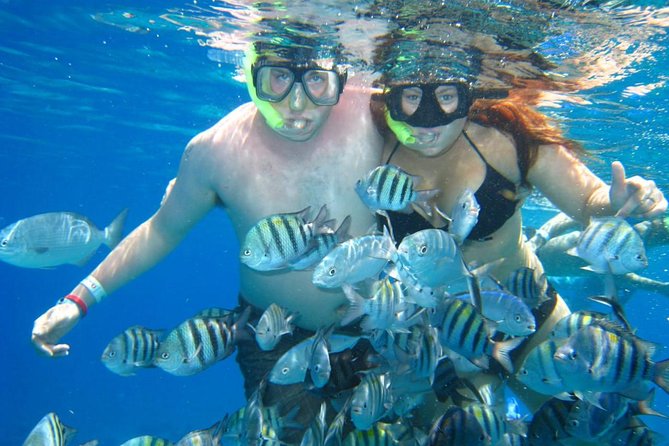 Cozumel Coral Reef Snorkeling by Glass Bottom Boat with Guide - Timing for cruise ships and mainland visitors