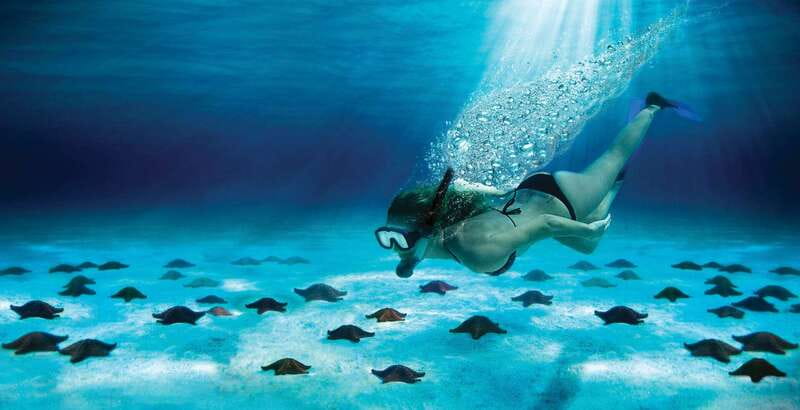 Cozumel: El Cielo & Palancar Snorkel with Open Bar & Ceviche - Key points to know before you book