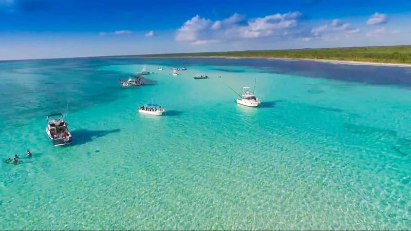 Cozumel: El Cielo & Palancar Snorkel with Open Bar & Ceviche - Why this Cozumel snorkel trip is worth considering