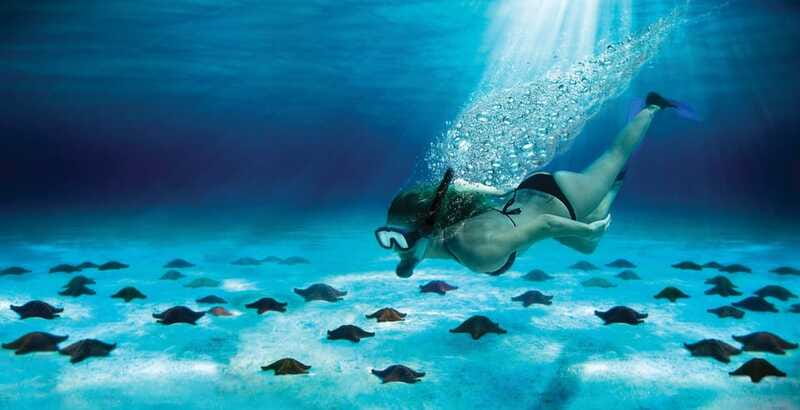 Cozumel: El Cielo & Palancar Snorkel with Open Bar & Ceviche - Food, drinks, and the stop at El Cielito