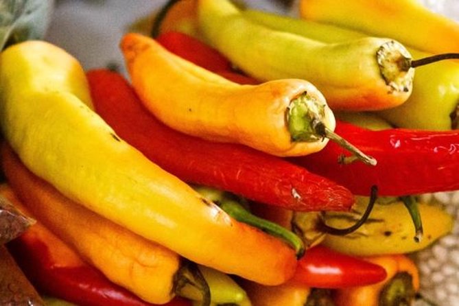 Cozumel Food Tour - Meeting in downtown Cozumel at 11:15 a.m.