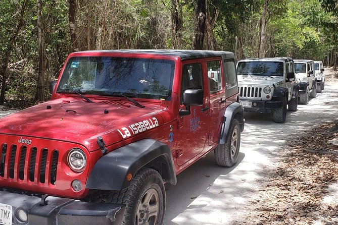 Cozumel Jeep Adventure to Jade Caverns with Lunch and Snorkel - Lunch, snorkeling, and two hours at Tortugas