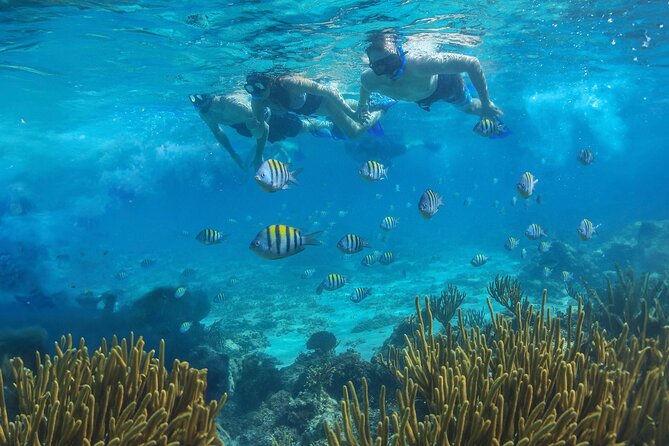 Cozumel Luxury Sailing & Snorkeling with Lunch and Open Bar Onboard - Lunch and the open bar