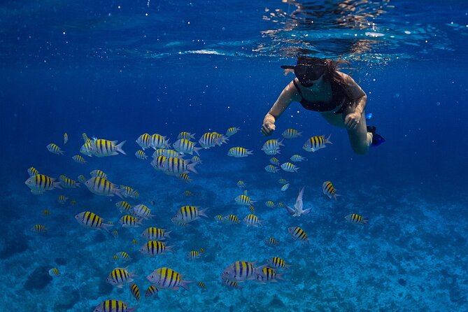 Cozumel Luxury Sailing & Snorkeling with Lunch and Open Bar Onboard - Boarding the catamaran and finding your space