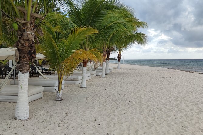 Cozumel Mayan Ruins and Beach Break - The guide makes or breaks the day