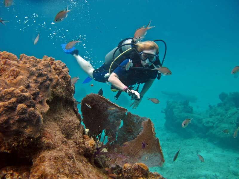 Cozumel: One Tank Scuba Dive and Full Chankanaab Park Access - Why this is a good first scuba experience