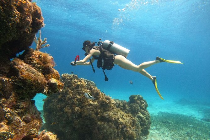 Cozumel Scuba Dive at Chankanaab - Chankanaab Adventure Beach Park: an easy base for the morning