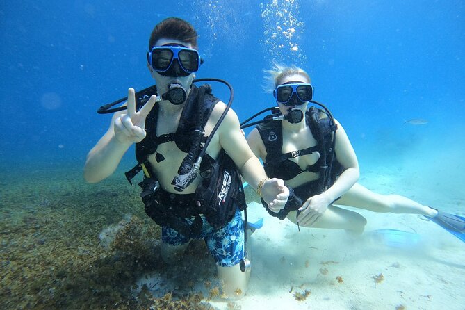 Cozumel Scuba Dive at Chankanaab - What you might see below the surface