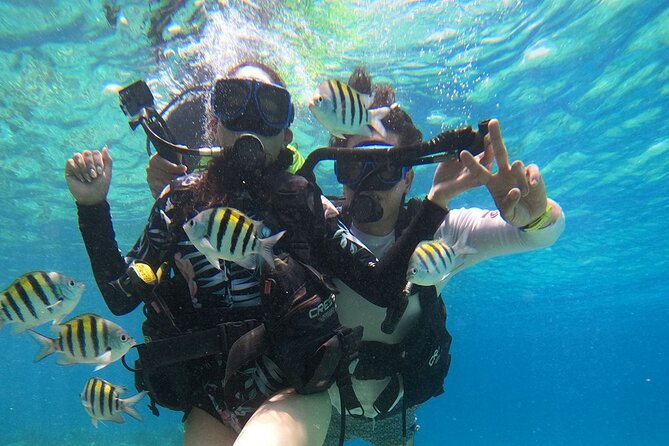 Cozumel Scuba Dive at Chankanaab - The instruction and safety routine