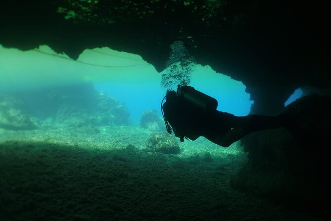 Cozumel Scuba Dive at Chankanaab - What the $85 price really covers