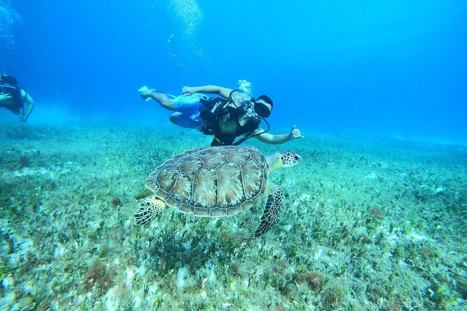 Cozumel Scuba Dive at Chankanaab - The beach, drink, and time after scuba
