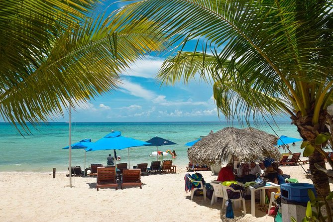 Cozumel Shore Excursion: 5-Hour Sightseeing Tour with Private Driver - Walking through San Gervasio’s Maya ruins