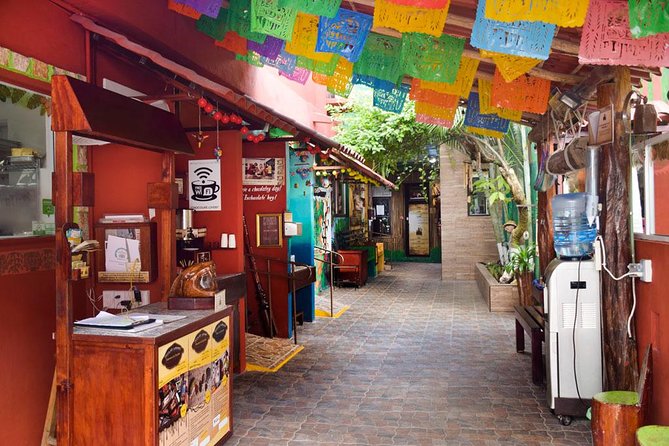Cozumel Shore Excursion: 5-Hour Sightseeing Tour with Private Driver - Ending at Playa Palancar