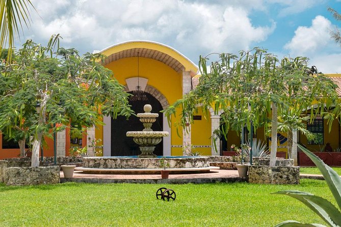 Cozumel Shore Excursion: 5-Hour Sightseeing Tour with Private Driver - Why the private vehicle matters
