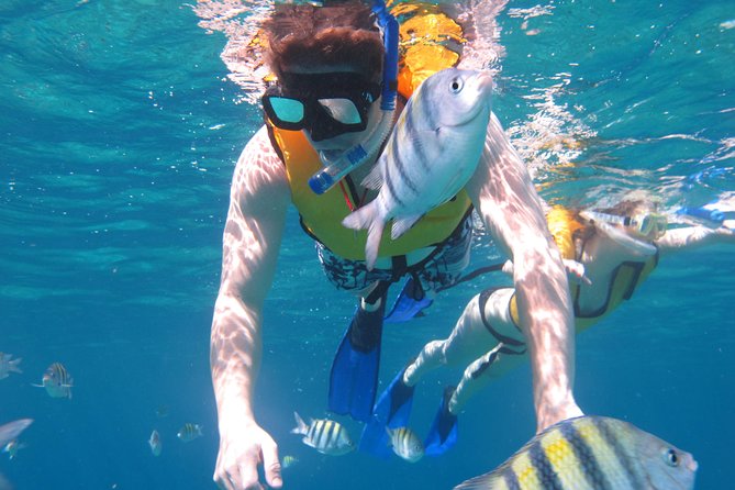 Cozumel Shore Excursion: Playa Uvas Private Beach Pass - Lunch and the four-hour open bar