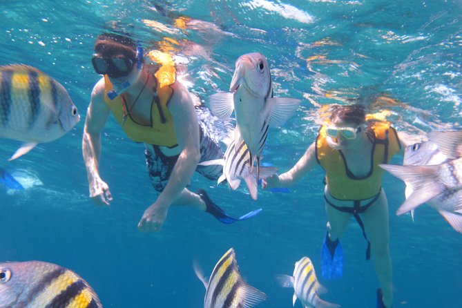 Cozumel Shore Excursion: Playa Uvas Private Beach Pass - What the $48 price really buys