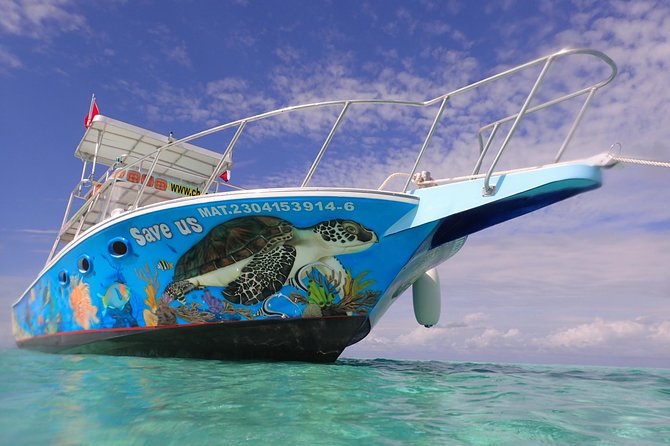 Cozumel Snorkeling Tour at Palancar & Colombia Reefs and El Cielo - What this Cozumel snorkeling trip is really like