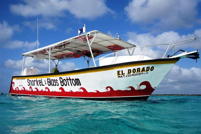 Cozumel Snorkeling Tour at Palancar & Colombia Reefs and El Cielo - Palancar Reef and the chance to see larger animals