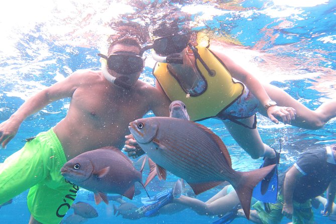 Cozumel Snorkeling Tour at Palancar & Colombia Reefs and El Cielo - What is included, and what you still pay