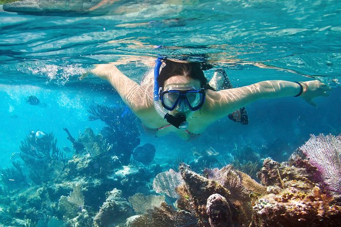 Cozumel Snorkeling Tour at Palancar & Colombia Reefs and El Cielo - Reaching the marina and getting the timing right